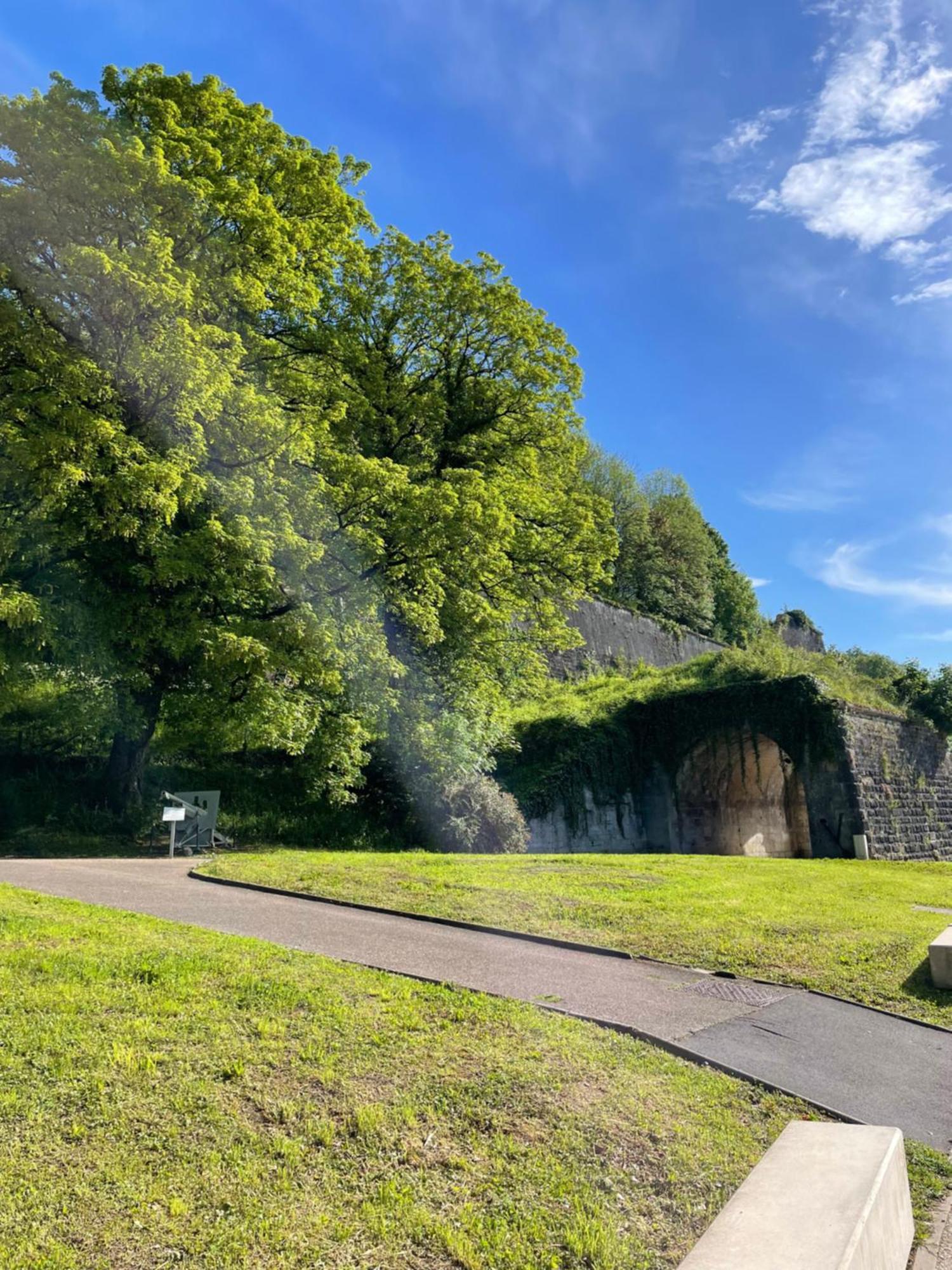 La Roche Daire Verdun-sur-Meuse Dış mekan fotoğraf